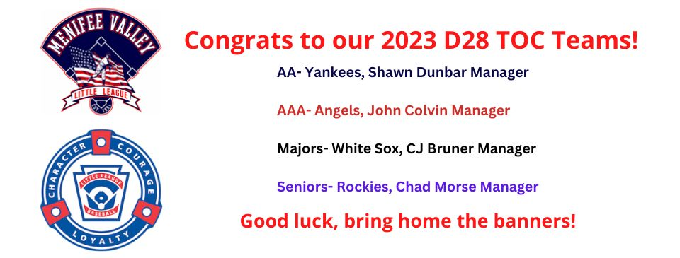 2023 MVLL D28 TOC Teams